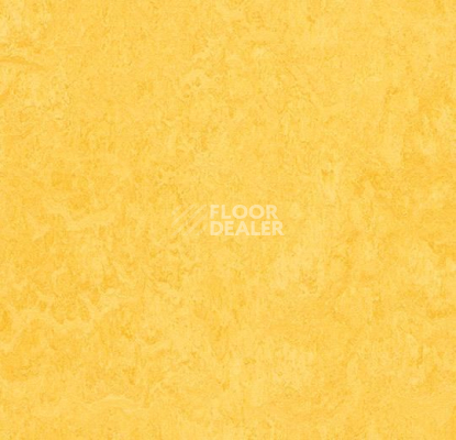 Кварцвиниловые полы Forbo Marmoleum Modular t3251 lemon zest фото 1 | FLOORDEALER